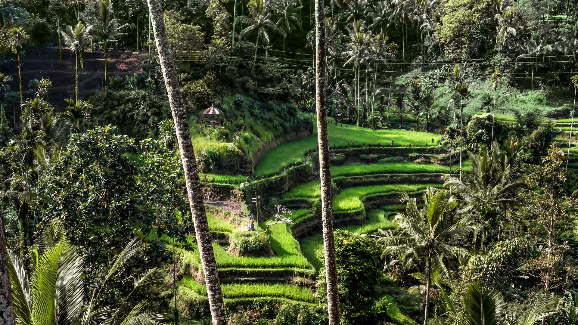 Hotel Amandari Ubud